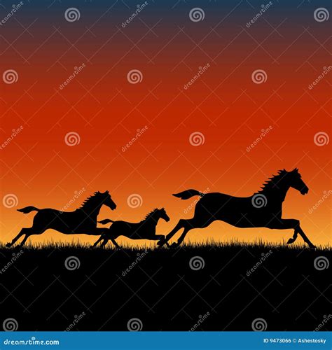 Wild Horses Running at Sunset Stock Vector - Illustration of sunset ...