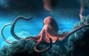 9 Spiritual Meanings of Octopus