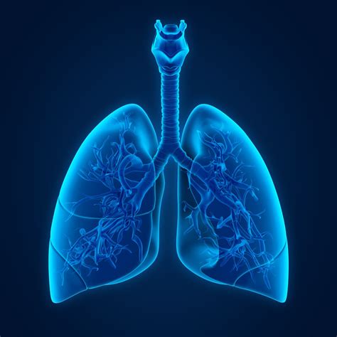 Lung Injury and Critical Care medicine - AHSC