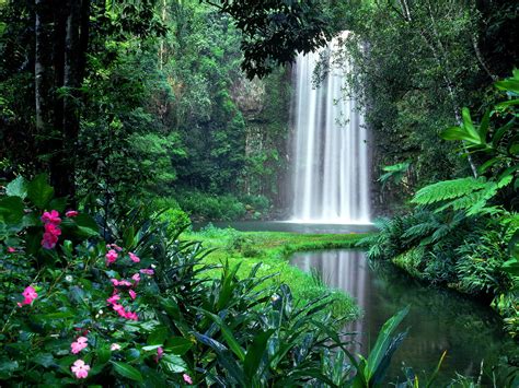 Tropical Rainforest Waterfalls Wallpaper