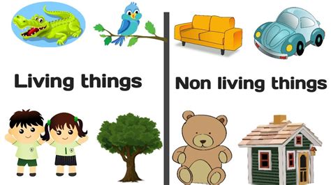 living things and nonliving things for kids | how to teach living and ...