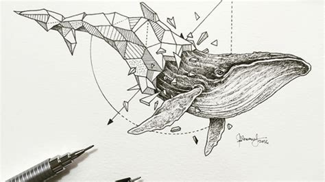 Artist Pairs Wildlife With Geometry to Create Stunning, Lively Drawings ...