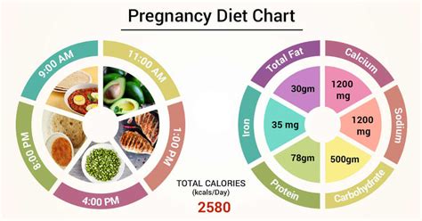 Pregnancy Diet Chart - Mommy Geekology