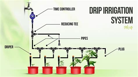 Drip Watering System Parts at Suzie Rank blog