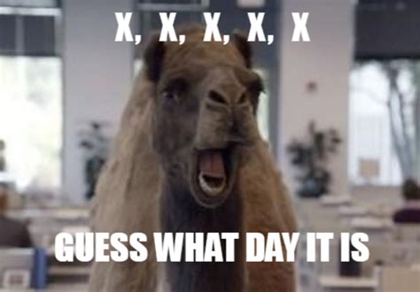 Happy Hump day everyone Meme Generator - Piñata Farms - The best meme ...