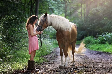 Certificate of Horse Breeding - Australian Online Courses