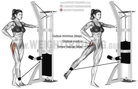 10 Best Hip Abductor Exercises for a Tight Backside - SET FOR SET