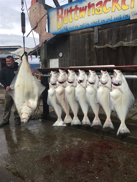 Alaska Fishing Packages | Fishing and Lodging | Alaska Fish On Charters