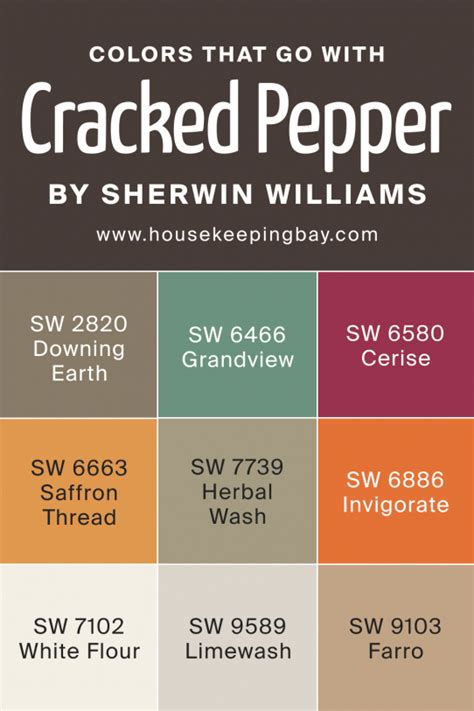 Cracked Pepper SW 9580 Paint Color by Sherwin-Williams