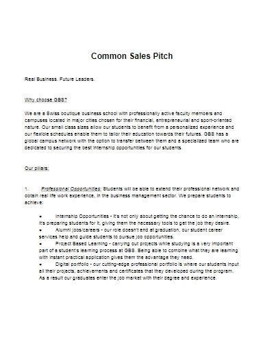 FREE 10+ Sales Pitch Samples in Google Slides | Powepoint | Flowcharts ...