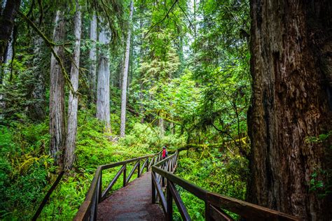 Redwood National Park