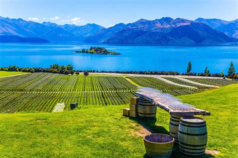 New Zealand's wine industry celebrates its 200th anniversary