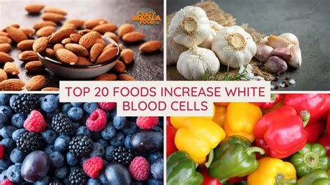 20 Foods That Increase White Blood Cells - Crazy Masala Food