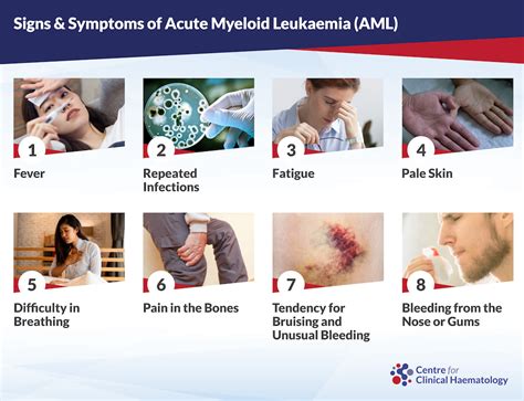 Acute Myeloid Leukaemia (AML): Signs & Treatments