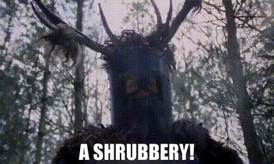 YARN | a shrubbery! | Monty Python and the Holy Grail | Video gifs by ...