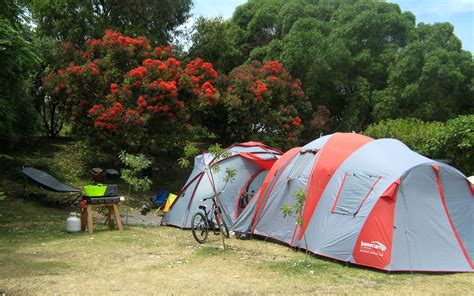 Napier Holiday Park, Camping & Motels | TOP 10 New Zealand