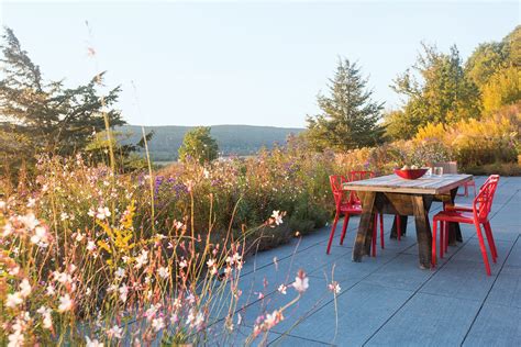 Wildflower Meadow Landscape Design - Flower Magazine