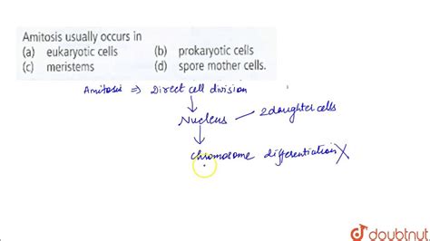 Amitosis usually occurs in - YouTube