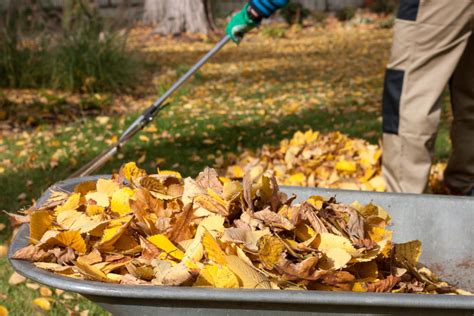 Composting Leaves - How To Make Incredible Compost From Leaves!