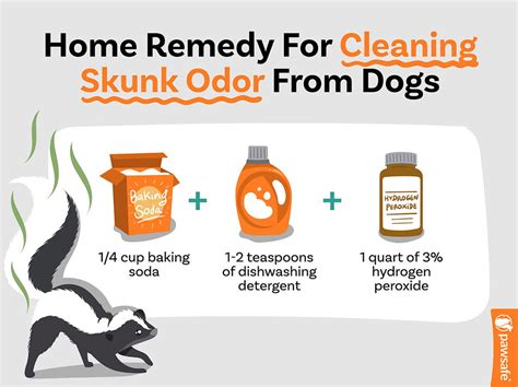 How Long Does A Skunk Smell Last On A Dog? - PawSafe