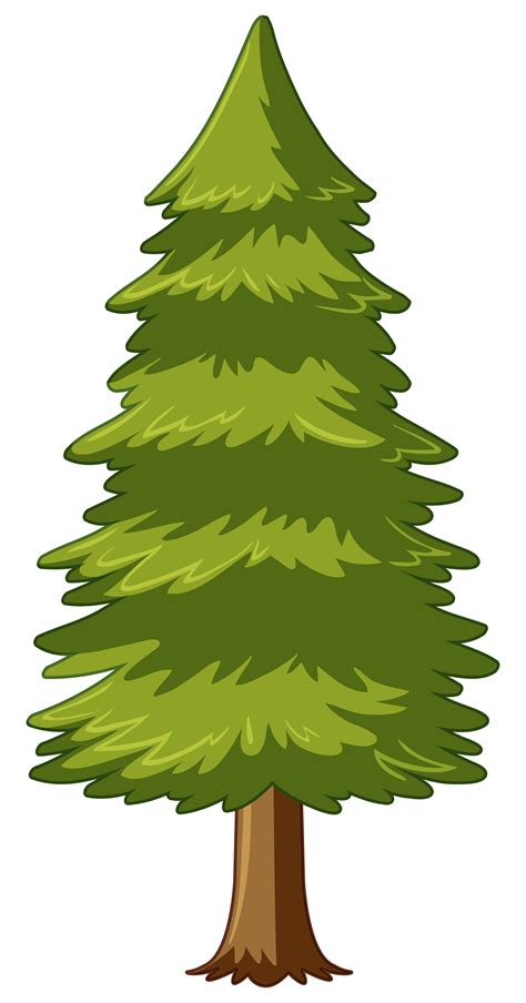 Vector Pine Tree : Pine tree Royalty Free Vector Image - VectorStock ...