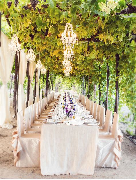 V199: Our Muse - Vineyard Wedding in Napa, California: Lyn & Andrew ...