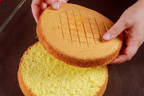 NAJBOLJI BISKVIT ZA TORTE I KOLAČE: Detaljan recept za prave početnike ...