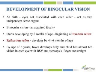 Binocular vision | PPT