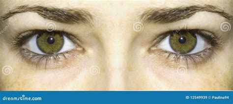 Bright green eyes stock image. Image of woman, flipped - 12549939