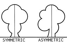 Asymmetrical Balance Examples Art