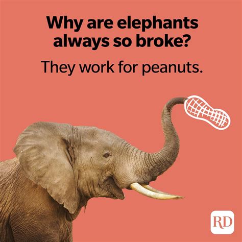 Elephant Jokes That WIll Make You Laugh Your Trunks Off | Reader's Digest