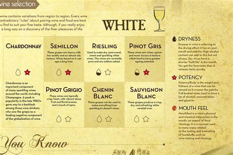 A Guide for Wine Selection (Infographic) on Behance