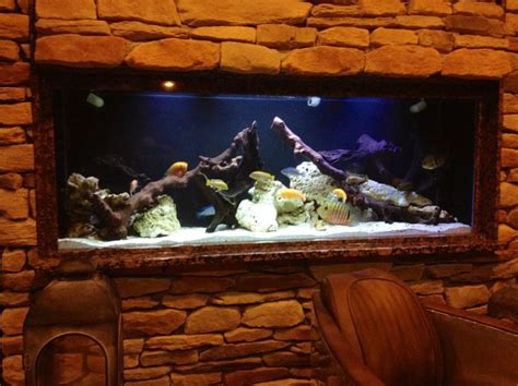 150 gallon fresh water aquarium installed by Aquaholics Aquarium ...