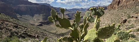 Hermit Trail to Granite Rapids Campground, Arizona - 80 Reviews, Map ...