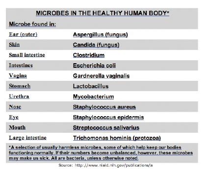 Top 162 + Diseases caused by microorganisms in animals - Inoticia.net