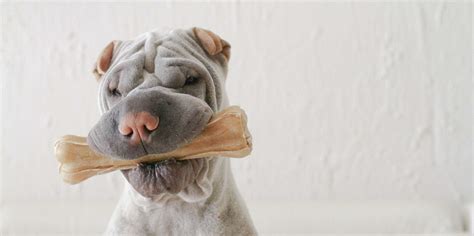 What You Should Know About Rawhide Bones For Dogs - Pet Food Guide