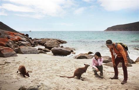 Tasmanian Wildlife Destinations and what Tasmania Animals To See