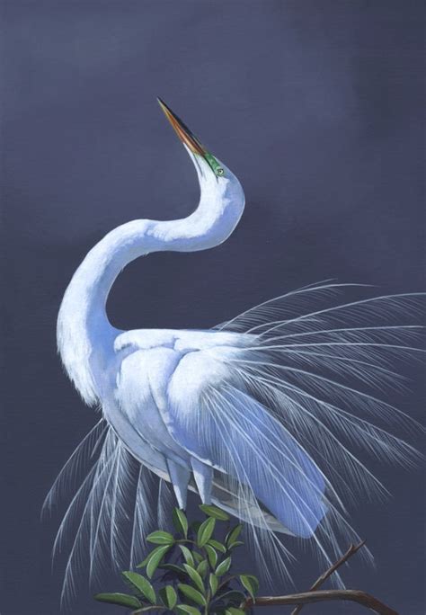 Great Egret print of Acrylic painting GE1715 5 by 7 size