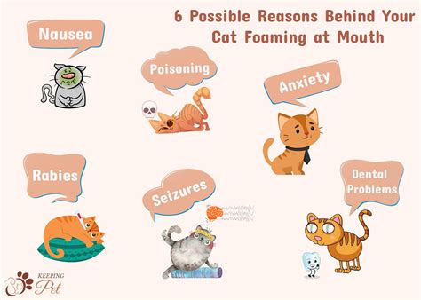 6 Reasons Behind a Cat Foaming at the Mouth (Vet-Reviewed)