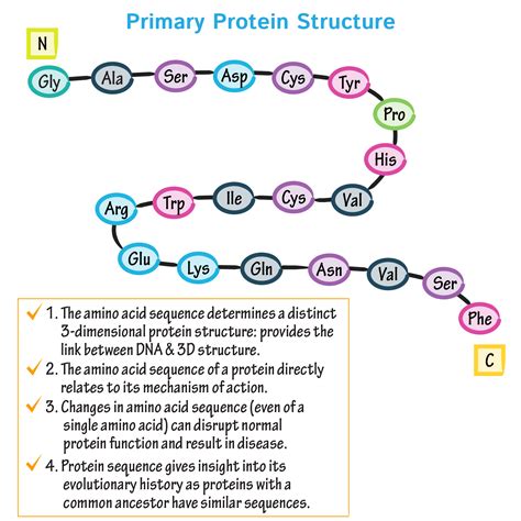 MCAT Biology & Biochemistry Glossary: Protein Structure Class: 1 ...