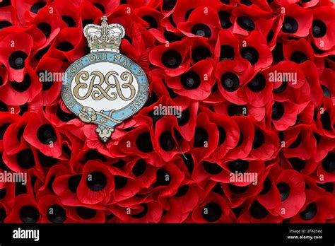 Poppy Wreath for remembrance day, London Stock Photo - Alamy