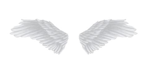 Angel Wings Cartoon, Angel Wings Clip Art, Angel Wings Icon, Angel ...