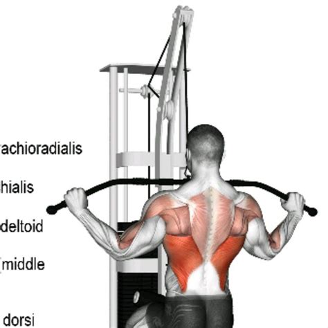 Wide Grip Lat Pulldown by Ran P - Exercise How-to - Skimble