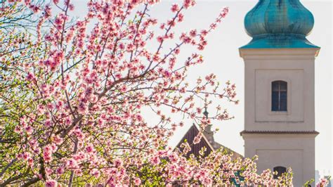 The Prague Spring: planting the seeds of freedom – Students For Liberty