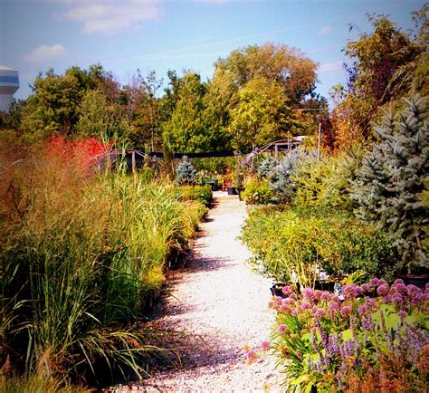 Seely's Landscape Nursery - Hilliard, OH 43026