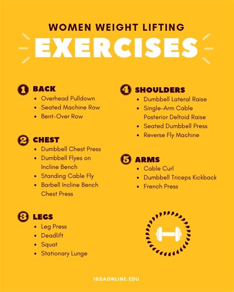 Best Split Workout Routine For Beginners | EOUA Blog