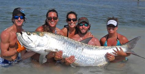 How-to Catch Tarpon - Florida Sportsman