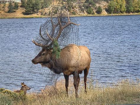 Colorado Parks & Wildlife: 'Please Take FIVE MINUTES' to Clean Up