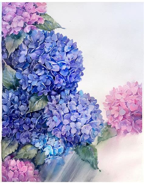 Watercolor hydrangea on Behance | Hydrangea painting, Watercolor ...