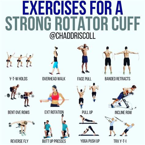 Pin on Gym Workout Exercises For Men & Women